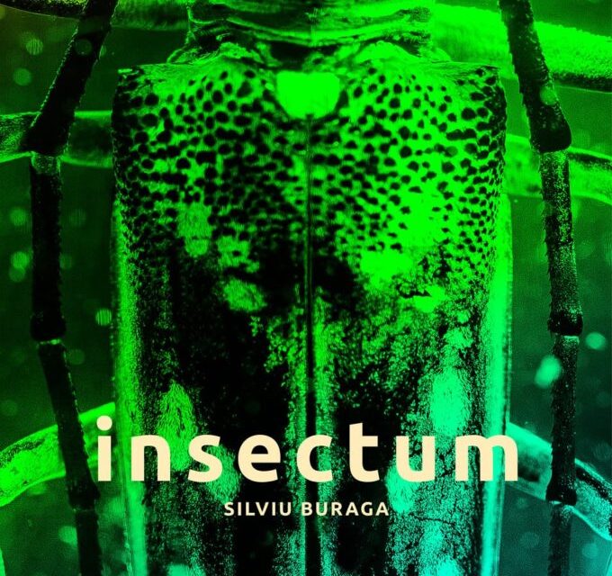 Expoziție Silviu Buraga „insectum” @ Galeria de Artă ”N. Tonitza”, Iași