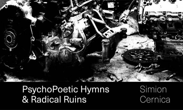 Simion Cernica „PsychoPoetic Hymns & Radical Ruins” @ IOMO Gallery, București