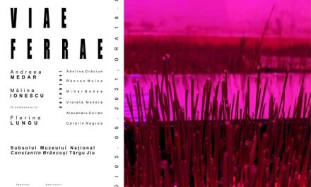 Expoziție „VIAE FERRAE #2” @ Muzeul Național “Constantin Brâncuși”