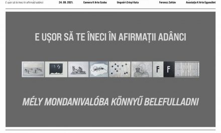 Pál Gerber „E ușor să te îneci în afirmații adânci” @ Camera K’ARTE, Tîrgu Mureș