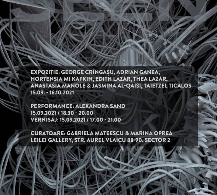 Digital art, performance, muzică experimentală și rețele la Galeria Leilei din București
