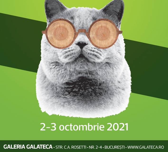 NEO FAIR/ Eco&Wood Edition / 02-03 octombrie /Galateca