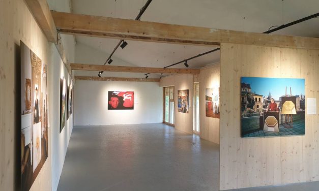Barry Lewis la Muzeu-Atelier Școala de la Piscu