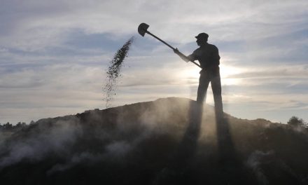 Cărbunarii și cărbunăritul pe cale de dispariție – fotoreportaj @ PressOne