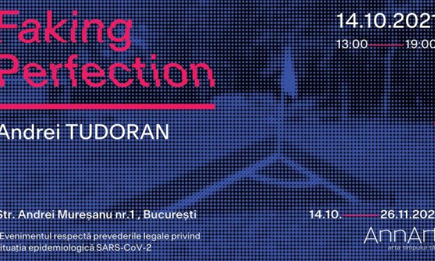 Expoziție Andrei Tudoran „Faking Perfection” @ AnnArt Gallery, București