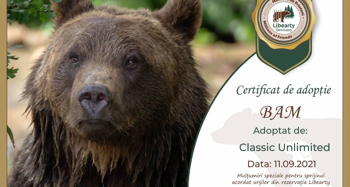 Final de Classic Unlimited 2021: 9 concerte, peste 1.000 de participanți și doi urși adoptați