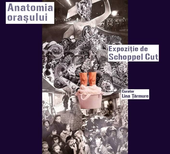 Carla Schoppel – Schoppel Cut „Anatomia orașului” @ La Cave, Institutul francez Cluj