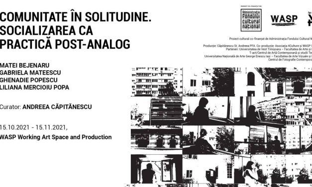 COMUNITATE ÎN SOLITUDINE. SOCIALIZAREA CA PRACTICĂ POST-ANALOG: Matei Bejenaru, Gabriela Mateescu, Ghenadie Popescu, Liliana Mercioiu Popa