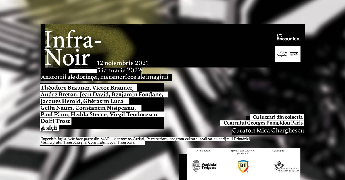 Expoziția „Infra-Noir: anatomii ale dorinței, metamorfoze ale imaginii” @ Fundația Art Encounters, Timișoara