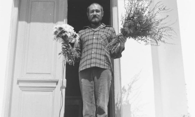 Paul Vasilescu, `80