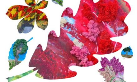 Expoziţie Simona Oancea Găucan “Natură. Frunze. Ploi” @ Iulius Mall Iași