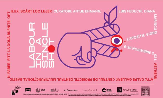 „Labour in a Single Shot” – expoziție video la Timișoara