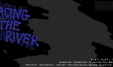 Facing the River @ Spațiul Expozițional de Artă Contemporană MAGMA, Sf. Gheorghe