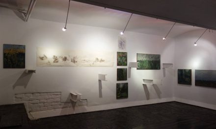 Expoziție Corina Pîrv „Telurice” @ Galleria 28, Timișoara