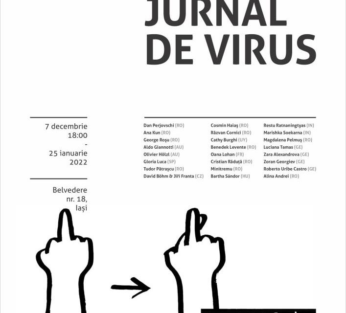 Jurnal de Virus la Borderline Art Space, Iași