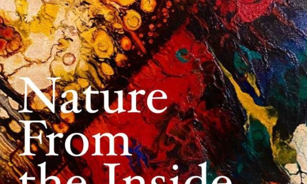 Expoziție de pictură și ceramică „Nature From the Inside Out” – Rodica Neamțu Biciușcă @ Galeria de Artă „Th. Pallady”, Iași