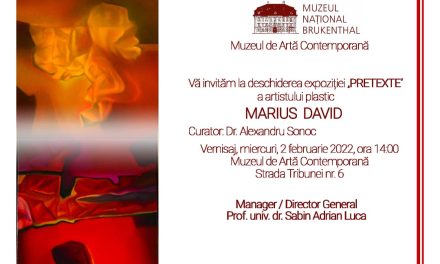 Expoziție Marius David „Pretexte” @ Muzeul Național Brukenthal Sibiu