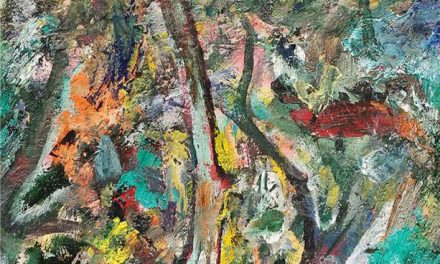 Expoziție personală Feleki Szabolcs @ Muzeul de Artă Cluj-Napoca