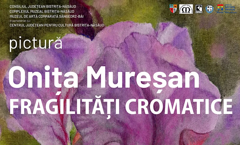 Onița Mureșan – Fragilități cromatice @ MACSB