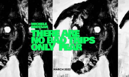 Solo show Michele Bressan „There are No Bad Trips, Only Fear” @ Strata Gallery, București