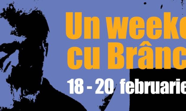 Un weekend cu Brâncuși. 18-20 februarie 2022 @ Muzeul Național de Artă al României
