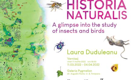 Expoziție Laura Duduleanu „Historia Naturalis – A glimpse into the study of insects and birds” @ Galeria Pygmalion, Timișoara