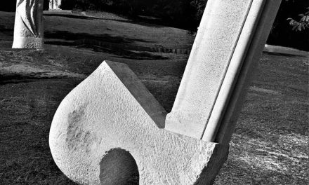 Mihai Buculei 1970-1974