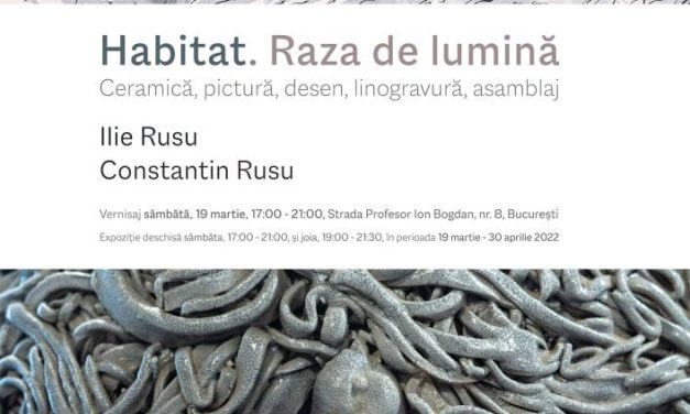 Expoziția „Habitat. Raza de lumină” ceramistul Ilie Rusu și pictorul Constantin Rusu @ „Cub Fluid”, București