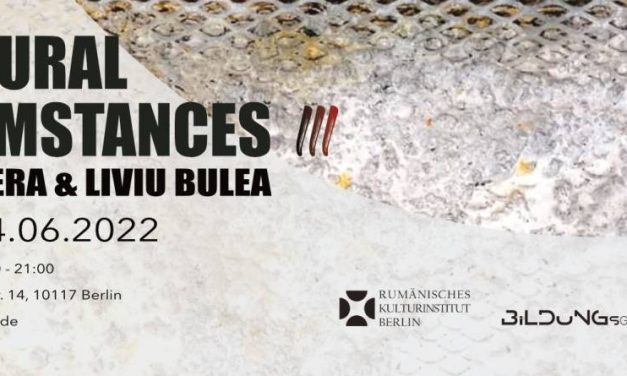 Expoziție Olimpia Bera și Liviu Bulea „Unnatural circumstances (III)” @ ICR Berlin