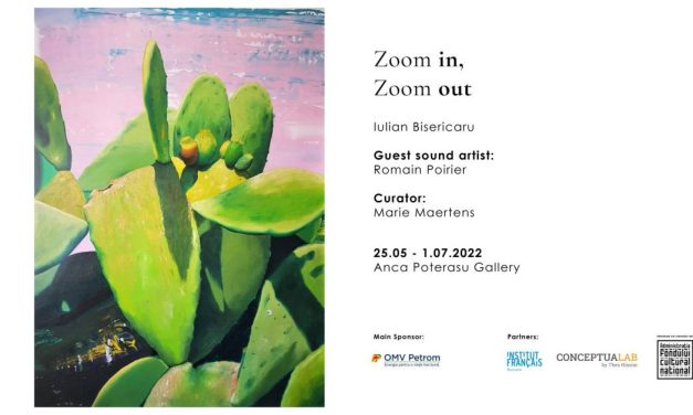 Solo Show: Iulian Bisericaru „Zoom In, Zoom Out” @ Anca Poterasu Gallery, București