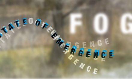 State of Emergence. FOG @ sandwich OFFSPACE, Atelierele Malmaison, București