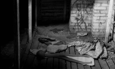 Expoziție Dan Mihălțianu, „In the Skin of an Artist” @ Galeria Sector 1, București