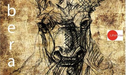 Expoziția de Licență Silviu Petrescu „ELIBERARE” @ Muzeul Național al Literaturii Române