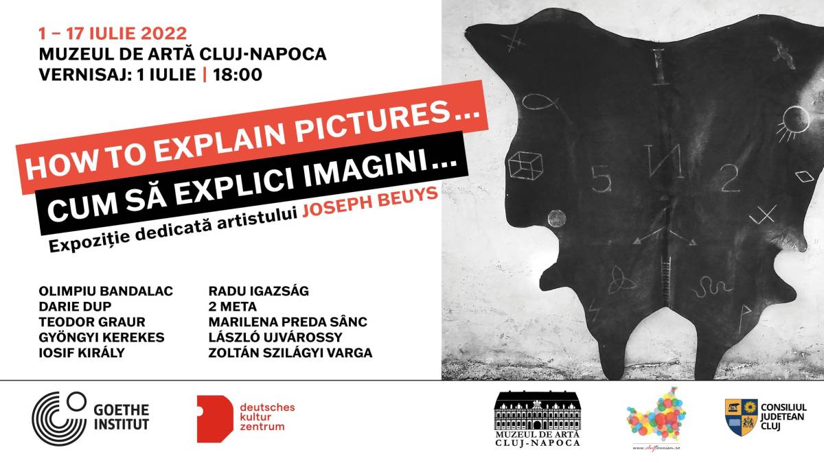 Expoziție „How to explain pictures… / Cum să explici imagini…” @ Muzeul de Arta Cluj-Napoca