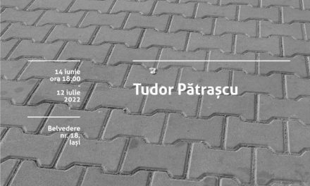 Tudor Pătrașcu – Detalii comune | O expoziție în schimbare @ Borderline Art Space, Iași