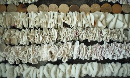 Kunsthalle Bega prezintă expoziția „Vremea recoltei”