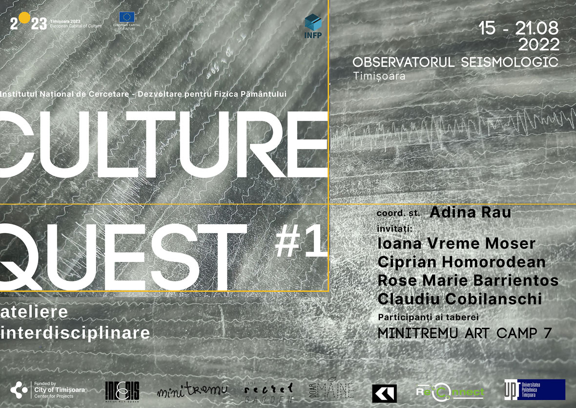 Culture Quest la Timișoara