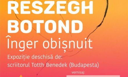 Expoziție Botond Részegh „Înger obișnuit” @ Galeria UAP Baia Mare