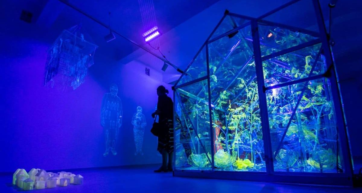 Expoziția Andreea Medar „Solarium. The Forever Garden” la galeria META Spatiu, Timișoara