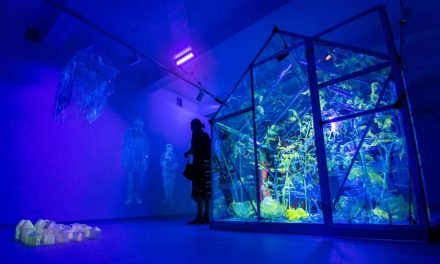 Expoziția Andreea Medar „Solarium. The Forever Garden” la galeria META Spatiu, Timișoara