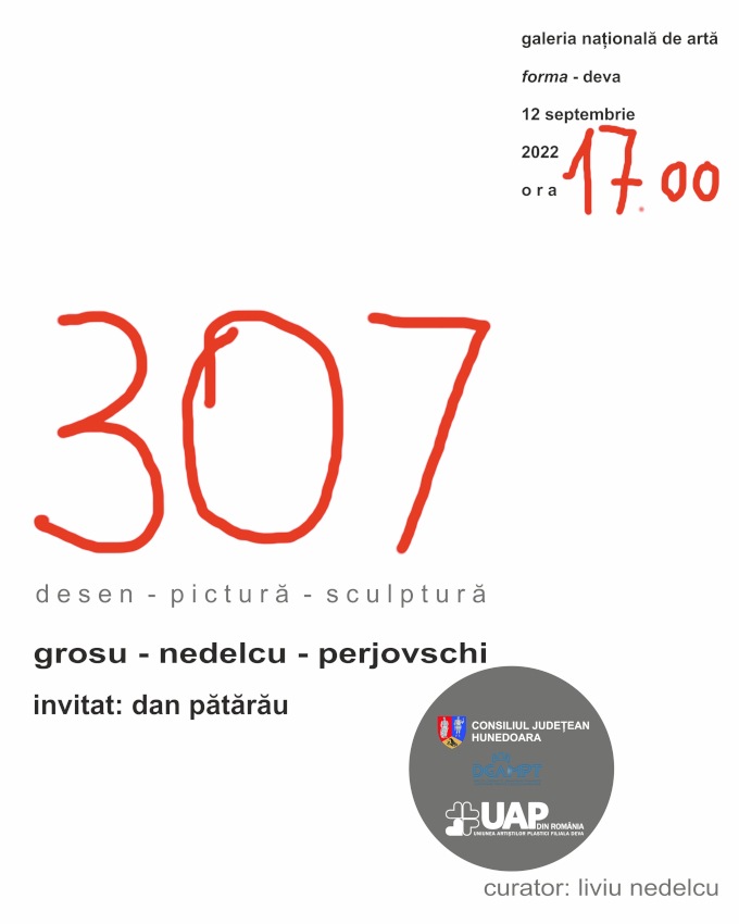 Expoziția „307” Alexandru Grosu, Liviu Nedelcu, Dan Perjovschi @ Galeria Națională de Artă FORMA, Deva