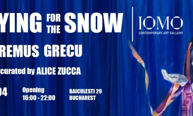 Remus Grecu ”Praying for the snow” @ IOMO Gallery, București