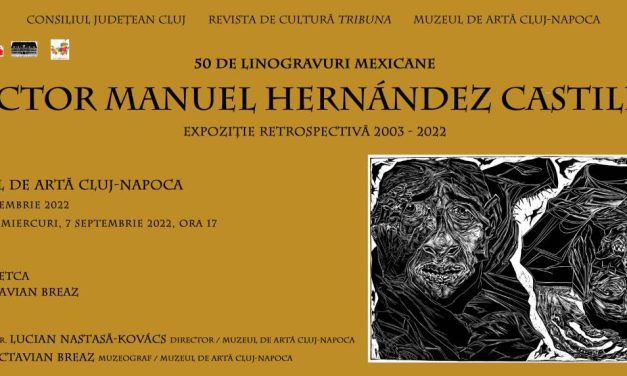 Víctor Manuel Hernández Castillo. Expoziție retrospectivă (2003-2022) @ Muzeul de Artă Cluj-Napoca