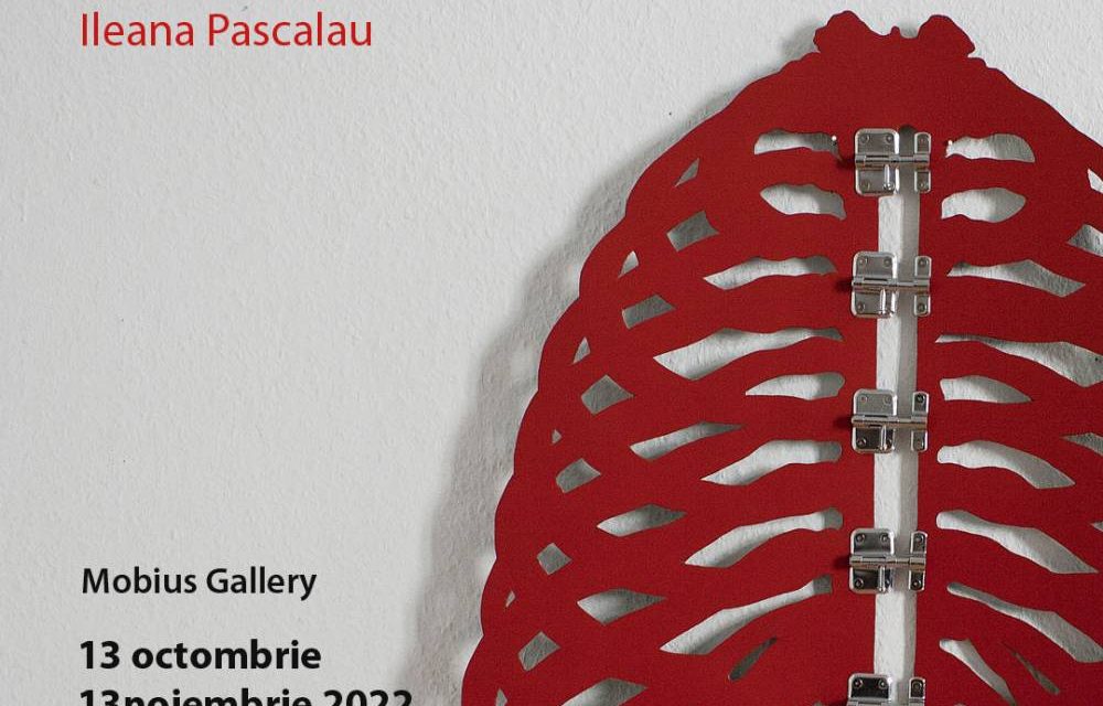 Expoziția Ileana Pașcalău „Shaving the Caterpillar” @ Mobius Gallery, București