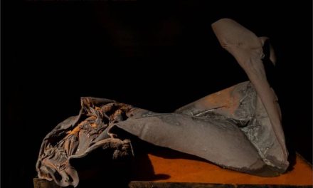 Plierea memoriei / Folding Memory & Din pământuri/ Of the Earth, expoziție personală Vlad Basarab @ Galateea Contemporary Art, București