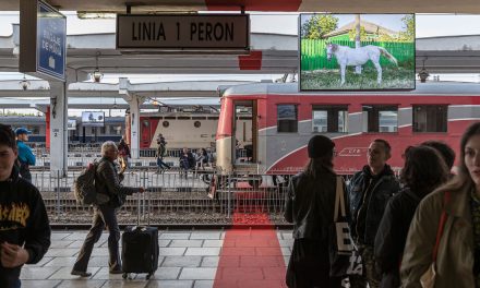 Expoziția LINIA din cadrul Beta 2022, curatoriată de Asociația VICEVERSA, documentează în imagini cea mai fragilă linie în contextul actual – granița NATO