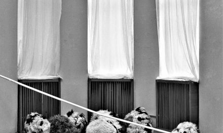 Ana Lupaș, Muzeul de Artă Contemporană Galați, 1973