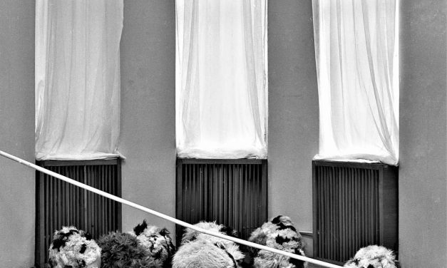 Ana Lupaș, Muzeul de Artă Contemporană Galați, 1973