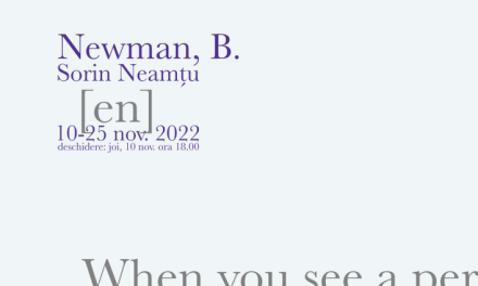 Sorin Neamțu – Newman, B. solo show @ Galleria 28, Timișoara