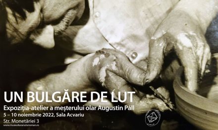 Expoziția meșterului olar Augustin Páll @ Muzeul Național al Țăranului Român